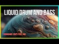 LiquidHour DnB - SONGMAS special FULL MIX | LiquidHour DnB