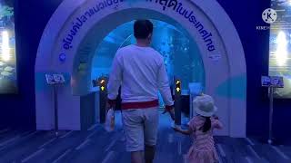 พาลูกเที่ยว EP9: บึงฉวาก (Bungchawak Aquarium) ชมสัตว์น้ำ นานาพันธุ์  สวรรค์แห่งโลกใต้ทะเล