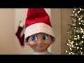 elf on the shelf caught moving plays tag with elf pets