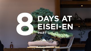 8 days at Eisei-en part I, trying to slowly get better a bonsai with help from Bjorn Bjorholm