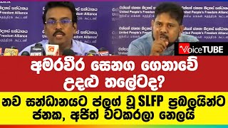 අමරවීර සෙනග ගෙනාවේ උදලු තලේටද?? නව සන්ධානයට ප්ලග් වූ SLFP  ප්‍රබලයින්ට ජනක, අජිත් වටකරලා නෙලයි