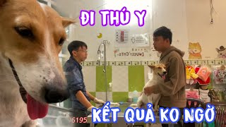 Sen Đưa Gấp  Bé Bầu Đi Thú Y Bất Ngờ Với Kết Quả