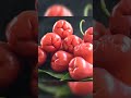 bell fruit fruits fruit viral ytshorts trending shorts