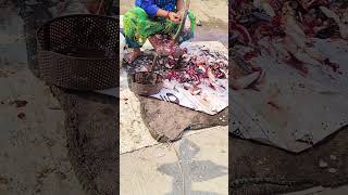 Live fish cleaning ongole