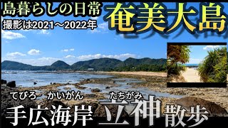 【奄美大島】龍郷の手広海岸　鳥を見る・笠利町、節田立神(タチガミ)までドライブ散歩する　#島暮らし　 #パワースポット