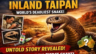 Inland Taipan: The World’s Most Venomous Snake | Untold Truth of the Fierce Snake 🐍
