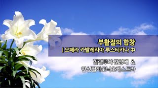 20220522 한신교회 할렐루야 찬양대 - 부활절의 합창(오페라 카발레리아 루스티카나中)