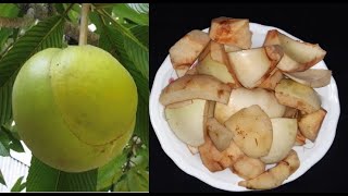 চালতা কাটার নিয়ম | চালতা কাটার সহজ উপায় | Chalta Katar Niom | How to Cut Elephant Apple