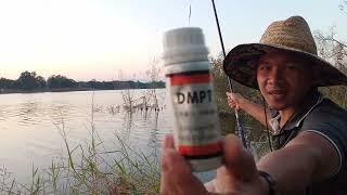 #หัวเชื้อผง DMPT ตัวเร่งปลากินไว จริงไหม???#fishing #ตกชิงหลิว #หมายธรรมชาติ