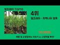 썰프레아 늦으면 없다는 쿠팡추천템 best 10