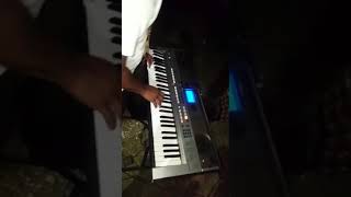 Active Dynamic Live Bands