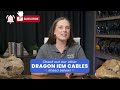 bronze dragon iem cables explained moon audio