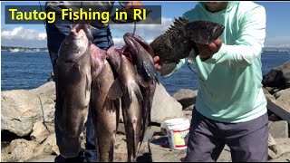 Tautog fishing is hot in Rhode Island (8/22, 2021)