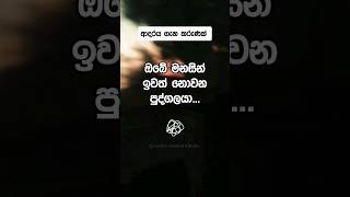 ඔබේ මනසින් ඉවත් නොවන පුද්ගලයා.... #love #message #shorts #facts