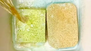 Pine 🌲 AJAX BLUE LIQUID \u0026 POWDER PASTE REHYDRATION 💦 ASMR SPONGE SQUEEZING \u0026 RINSING 🧽