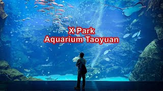 Xpark Aquarium Taoyuan. Definitely worth the ticket price