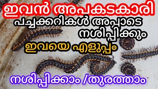 ഈ വിദ്യ മനസ്സിലായില്ലല്ലോ!എന്റെ കൃഷിയും നശിപ്പിച്ചു a1luckylifemedia