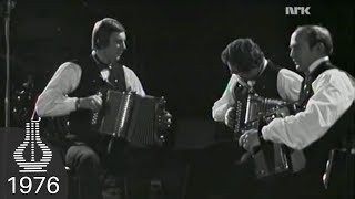 Toradertrioen live under Spellemannprisen 1976