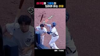 [2024 KBO] 야구장에 그물망이 있어야하는이유