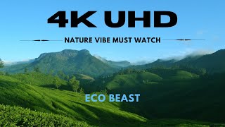 🌞 Witness the breathtaking beauty of the Sun illuminating Earth’s surface in stunning 4K UHD! 🌍✨