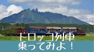 南阿蘇鉄道トロッコ列車に遊びにおいで！