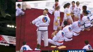 Riverview Martial Arts demo at Lake Erie Monsters Game