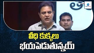 వీధి కుక్కలు భయపెడుతున్నయ్ | Ktr Sensational Comments About Dog Bites In Telangana | Zee Telugu News