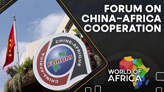 Chinese investors re-hedge bets in Africa | World of Africa | WION