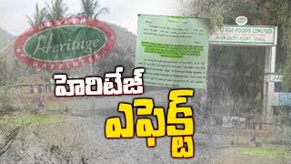 హెరిటేజ్ ఎఫెక్ట్..! || సాక్షి స్పెషల్ - Watch Exclusive