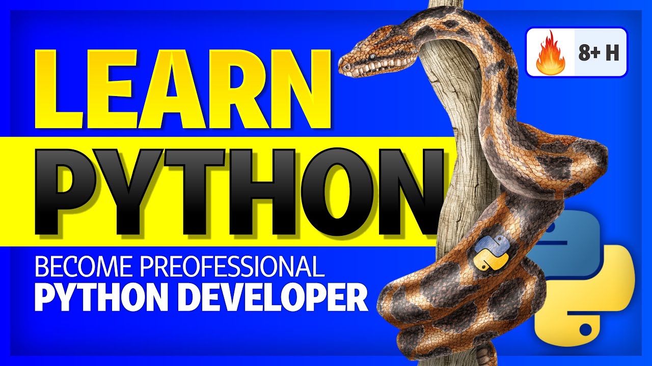 Learn Python 8 Hours Become Professional Python Developer Full