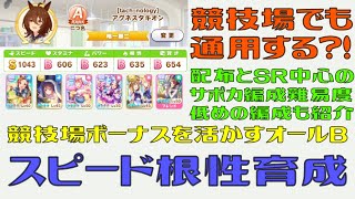 【#ウマ娘】競技場ボーナスで戦う！『スピード根性育成』配布SSRとSR中心の編成難易度下げた編成例も紹介してます。結論：全身全霊は確定でいいと思う【プリティーダービー】【攻略】