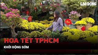 Thị trường hoa Tết TPHCM khởi động sớm | Báo Lao Động