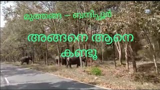 മുത്തങ്ങ —ബന്ദിപ്പൂർ # travel video #