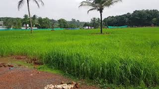 Malappuram Manjeri