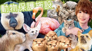 動物保護施設に行ってみたら予想以上にオアシスだった！ Animal shelter is an oasis