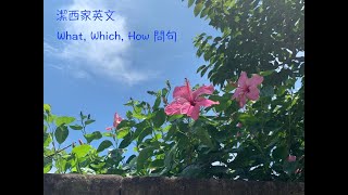 【潔西家】劍橋活用英語文法 初級 48 疑問句 4 What, Which, How 講解講義