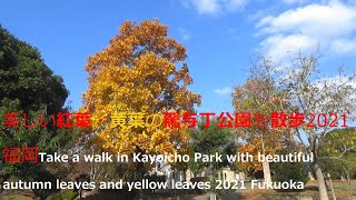 美しい　紅葉・黄葉の駕与丁公園を散歩2021福岡Take a walk in Kayoicho Park with beautiful autumn leaves and yellow leaves