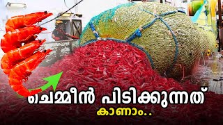 HOW PRAWNS ARE CATCHING FROM SEA MALAYALAM |  ചെമ്മീൻ ആഴക്കടലിൽ നിന്ന് പിടിക്കുന്നത് കാണാം.. 😱😱