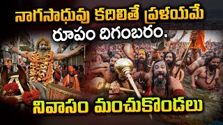 నాగసాధువు కదిలితే ప్రళయమే | The Mystery Life of Naga Sadhus | Abhi TV