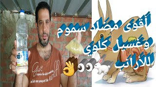 أقوى تركيبة مضاد سموم وغسيل كلوي |للحفاظ على الأرانب من الأمراض |🐇👌2021