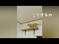 キャットウォークをdiyしてみました！