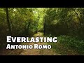 Everlasting. Contemporary solo piano music by Antonio Romo.