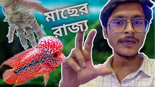 ডাক্তার মাছ 🙄 চলুন ঘুরে আসি রঙিন মাছের জগৎ থেকে 🤩