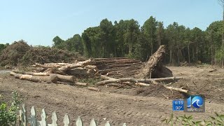 New development takes Suffolk neighborhood by surprise, raises environmental concerns