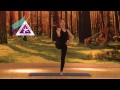 yoga utthita hasta padagusthasana extended hand to big toe pose