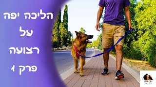 איך ללמד כלב לא למשוך ברצועה וללכת יפה | פרק 1