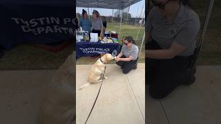 Puppaccinos with Police #dogshorts #police #cute