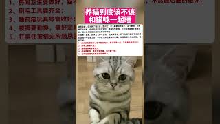 养猫到底该不该和猫咪一起睡？ #萌宠 #猫 #养猫 #猫咪 #宠物 #萌宠出道计划 #cat #pets #cute