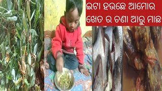 ଇଟା ହଉଛେ ଆମୋର ଖେତ ଚଣା ଆରୁ ମାଛ,# please like share subscribe my family vlog# utube chennel 🙏🥰