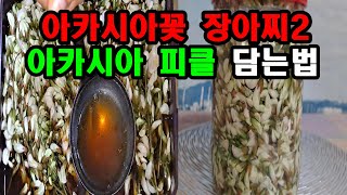 초간단 1년내 싱싱하게 먹는 면역제 아카시아 장아찌 만드는법👍 \u0026 아카시아피클 👍지금 만글었어요 짱👍💯💖